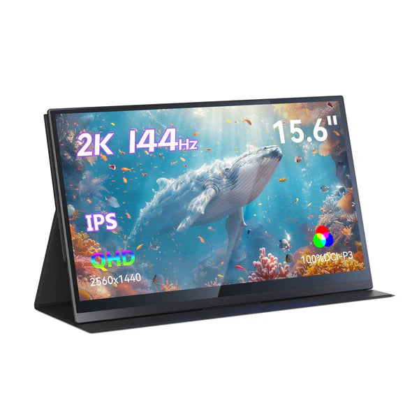 Minisforum MSSA156 Portable Monitor – SBNT